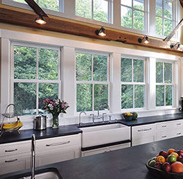 Double Hung Windows